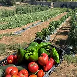 Agroturismo Rafal Rubí