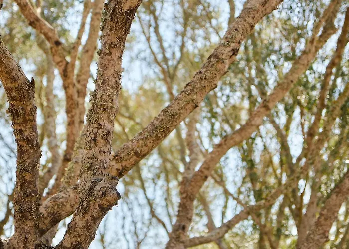 Rafal Rubi Çiftlik konaklama Alaior